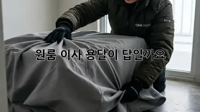 원룸 이사, 용달이 답일까요? 🤔